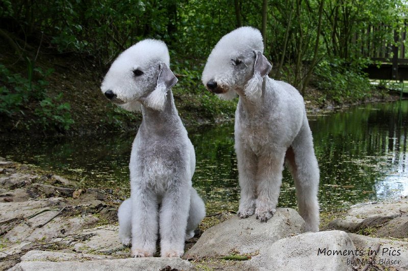 2010-05-01 Svet und Aveline (25).JPG